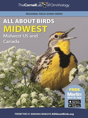 cover image of Rare Birds of North America
